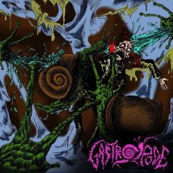 Gastropode : Promo 2016